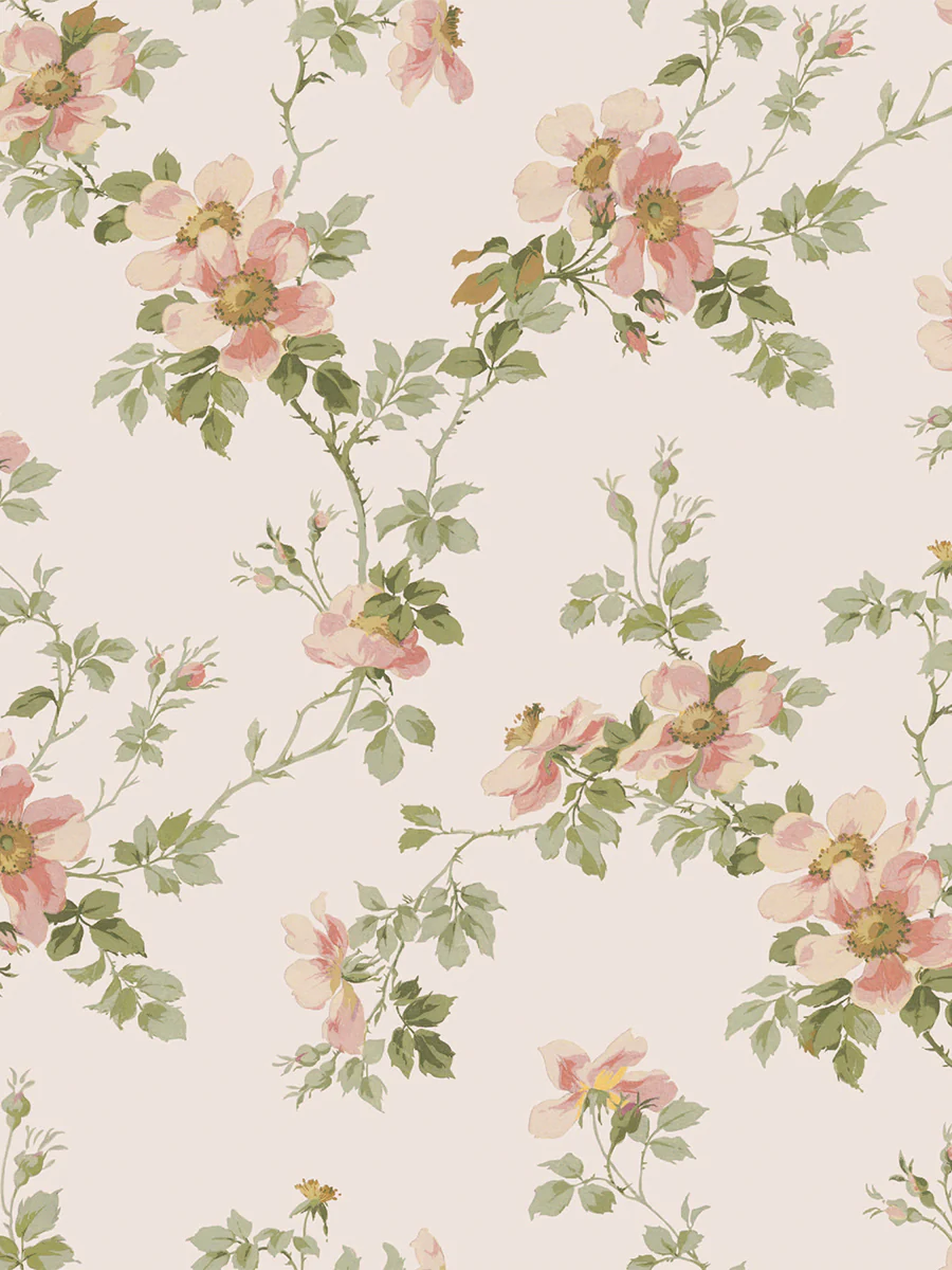 Cream Blush Field Rose Wallpaper - Image 4